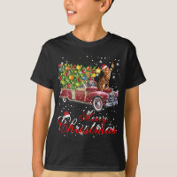 Cats Rides Red Truck Natal Pajama