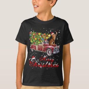 Camiseta Cats Rides Red Truck Natal Pajama