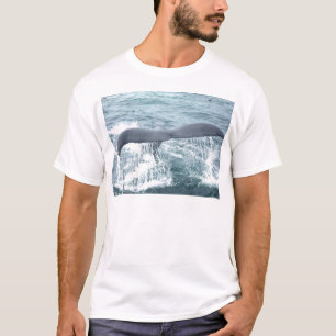 Camiseta cauda da baleia