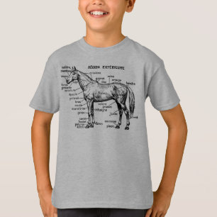 Camiseta Cavalo