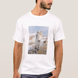 Camiseta Cavalo Branco Islandês, Islândia
