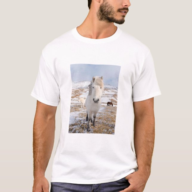 Camiseta Cavalo Branco Islandês, Islândia (Frente)