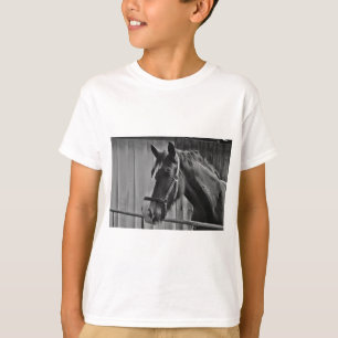 Camiseta Cavalo Branco Negro - Fotografia Animal