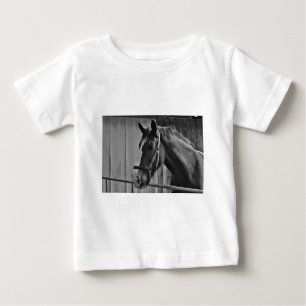 Camiseta Cavalo Branco Negro - Fotografia Animal