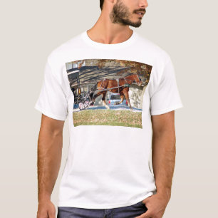 Camiseta Cavalo de Amish da queda