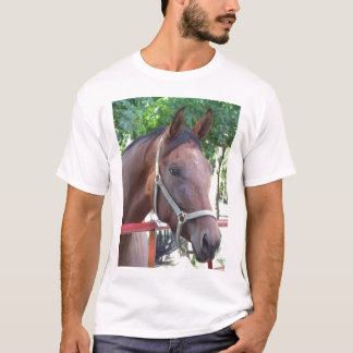 Camiseta Cavalo de baía