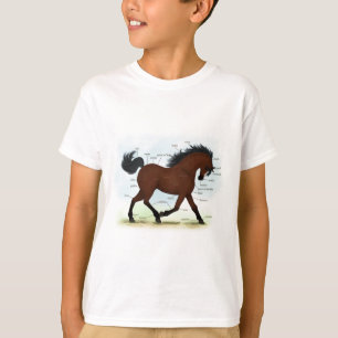 Camiseta Cavalo de Baía com Gráfico Anatômico Educaciona