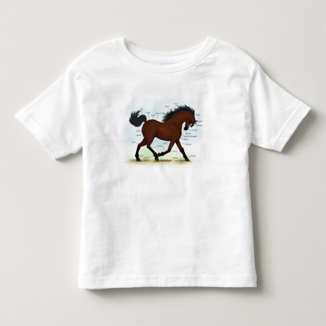 Camiseta Cavalo de Baía com Gráfico Anatômico Educacional B (Frente)