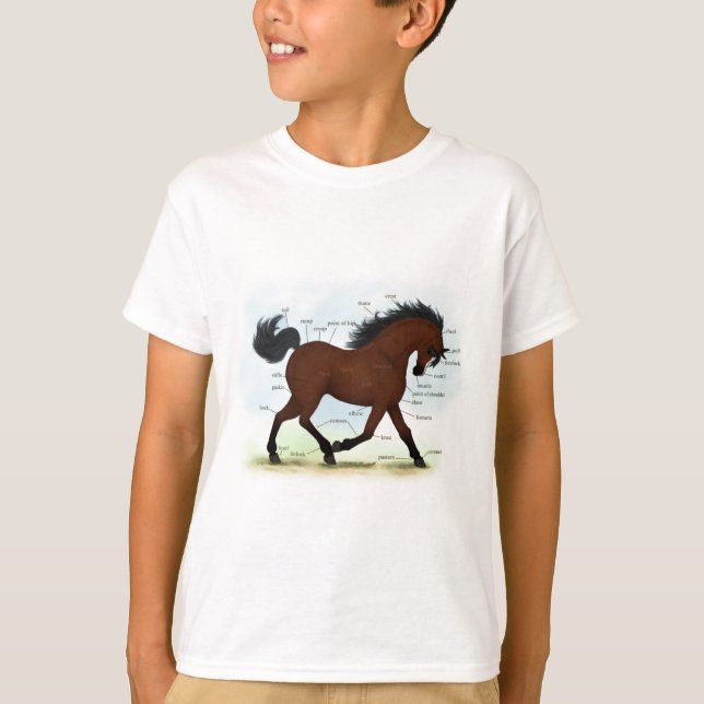Camiseta Cavalo de Baía com Gráfico Anatômico Educacional B (Frente)