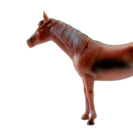 Camiseta Cavalo de Brinquedo Favorito