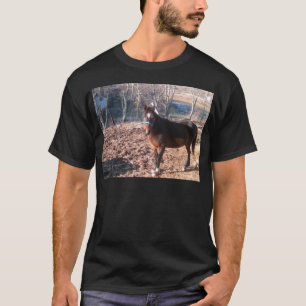 Camiseta Cavalo de Brown