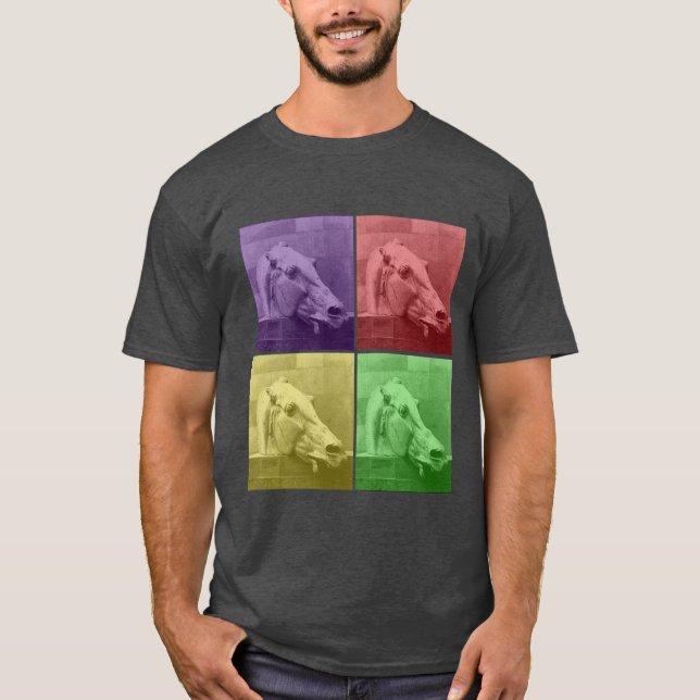 Camiseta Cavalo de cor diferente (Frente)
