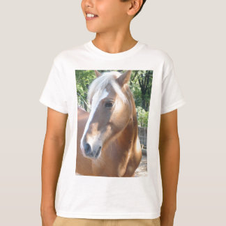 Camiseta Cavalo de Haflinger