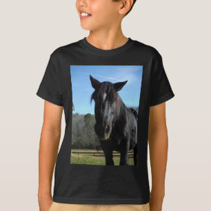 Camiseta Cavalo de Rascunho Negro Resgatado