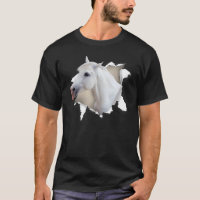 Cavalo De Roupa Arrasado Para Meninos Homens