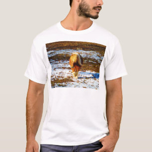 Camiseta Cavalo diminuto de Brown e de creme na neve
