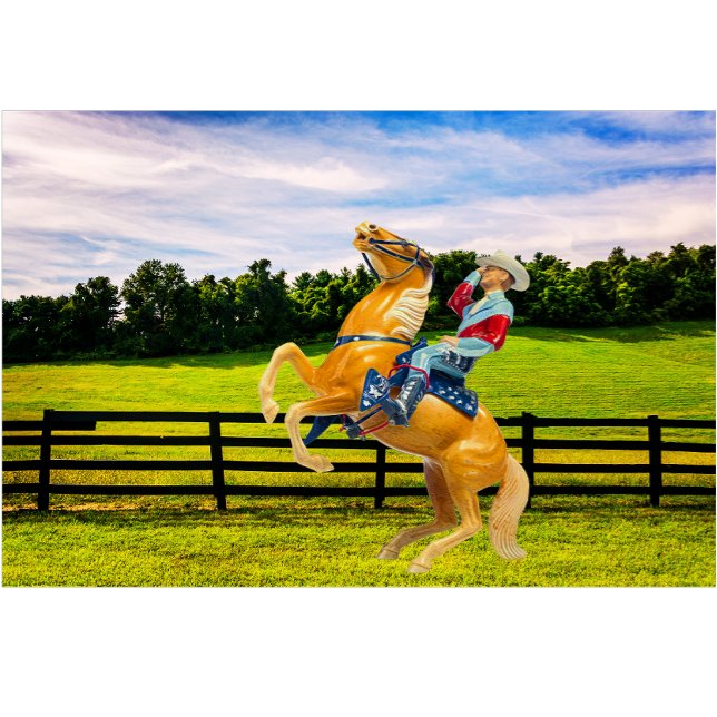 Camiseta Cavalo e Cowboy (Criador carregado)