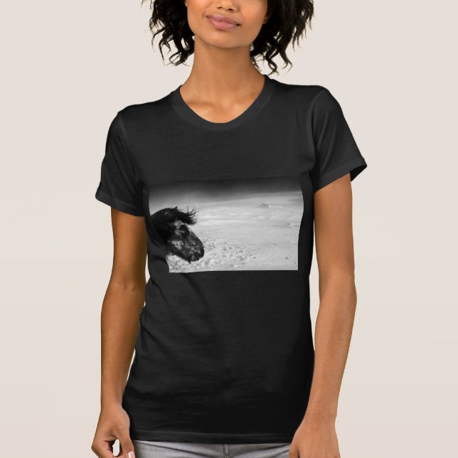 Camiseta Cavalo islandês na região selvagem do inverno (Frente)