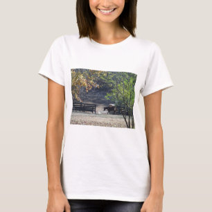 Camiseta Cavalo Marrom atravessando Cerca