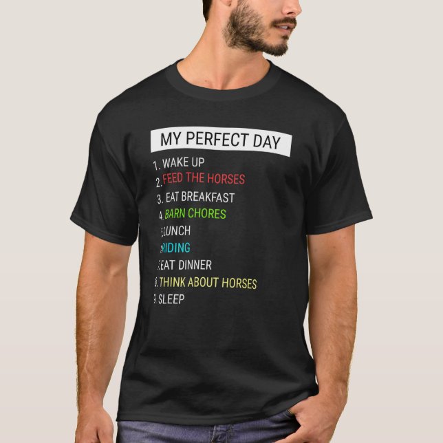 Camiseta Cavalo Meu Dia Perfeito (Frente)