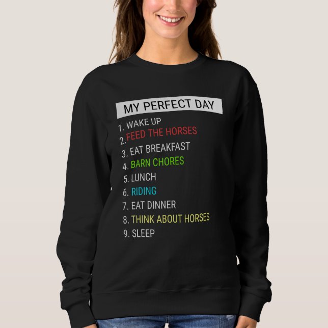 Camiseta Cavalo Meu Dia Perfeito (Frente)