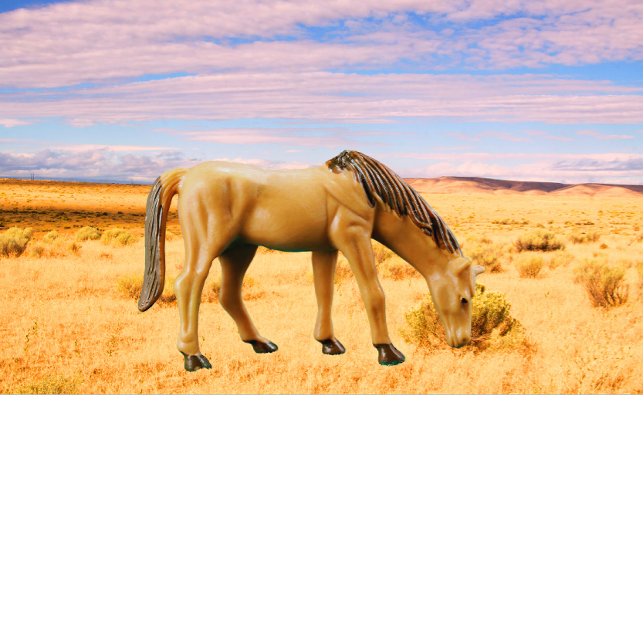 Camiseta Cavalo na Pastura (Criador carregado)