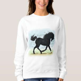 Camiseta Cavalo Negro com Gráfico de Anatomia de Estrelas e