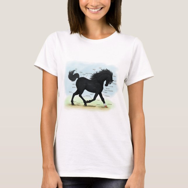 Camiseta Cavalo Negro com Gráfico de Anatomia de Estrelas e (Frente)