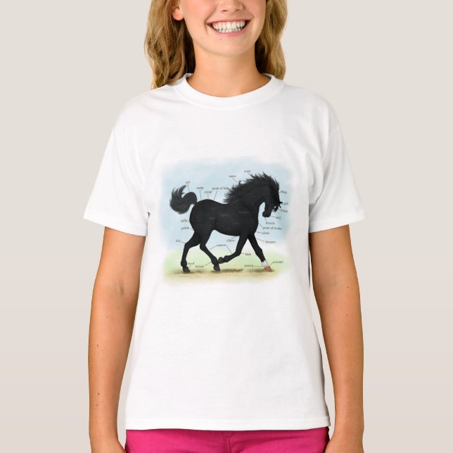 Camiseta Cavalo Negro com Gráfico de Anatomia de Estrelas e (Frente)