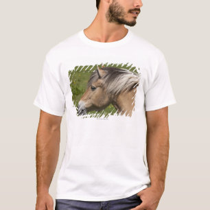 Camiseta Cavalo norueguês do fiorde