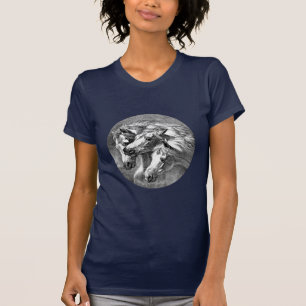 Camiseta Cavalos árabes