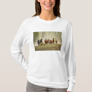 Camiseta Cavalos cruzando o topo de uma pequena colina dura
