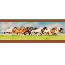 Camiseta Cavalos Galopantes