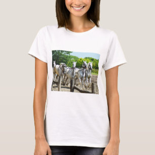 Camiseta Cavalos galopantes