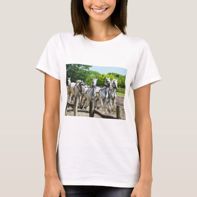 Camiseta Cavalos galopantes (Frente)