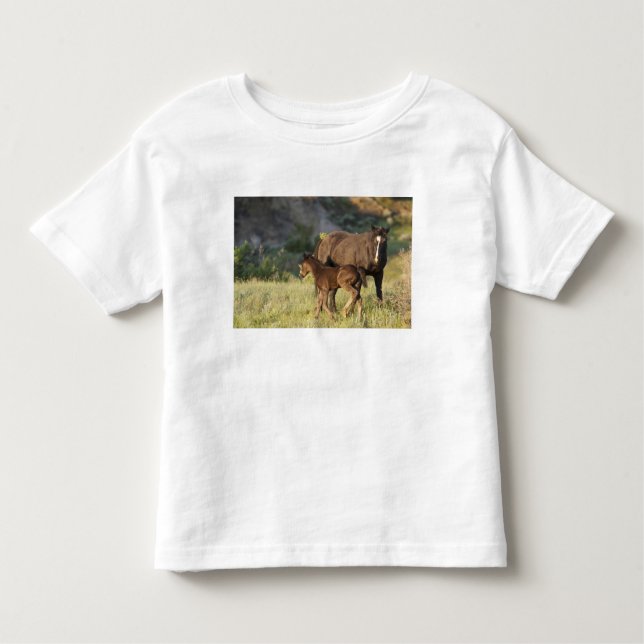 Camiseta Cavalos selvagens no Parque Nacional de Theodore R (Frente)