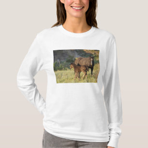 Camiseta Cavalos Selvagens no Parque Nacional Theodore Roos