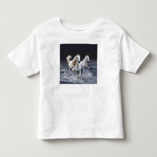 Camiseta Cavalos travesseiros decorativos