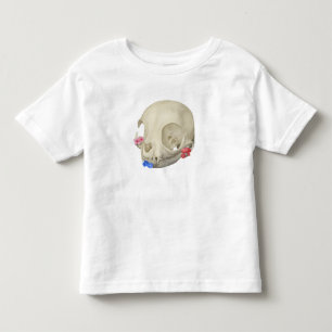Camiseta Caveira De Gato Com Flora