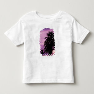 Camiseta Caye Ambergris, Belize, América Central.