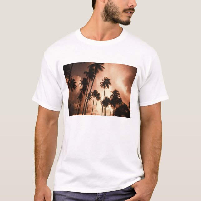 Camiseta Cayo Ambergris, Belize, América Central. 2 (Frente)