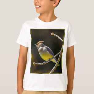 Camiseta Cedar Waxwing Songbird Original Foto de Pássaro Se