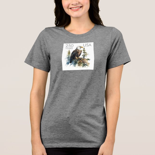 Camiseta Celebre a América 250 #78 (Frente)