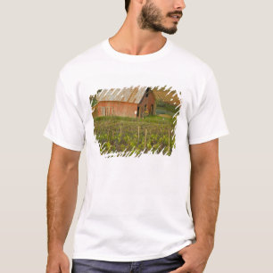 Camiseta Celeiro vermelho antigo na borda do vinhedo Zinfan