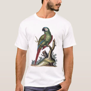 Camiseta Cenário Verde Antiquado