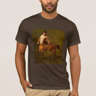 CAMISETA CENTAURO