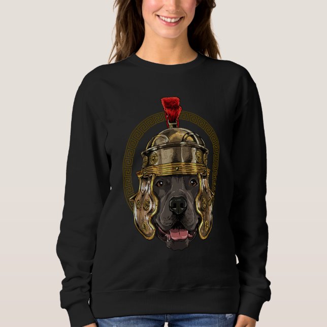Camiseta Centurion American Pit Bull Terrier Roma Antiga R (Frente)