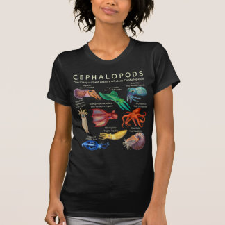 Camiseta Cephalopod Octopus Squid Cuttlefish e Nautil