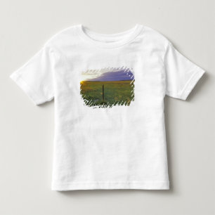 Camiseta Cercado de Arame Farpado no nordeste de Montana