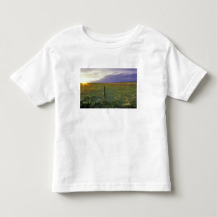 Camiseta Cercado de Arame Farpado no nordeste de Montana